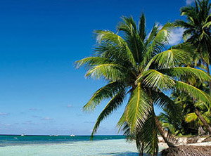 Be Live Grand Punta Cana