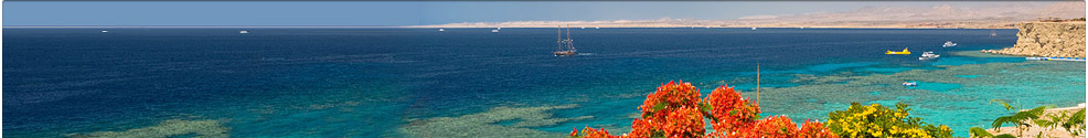 Last Minute Urlaub Marsa Alam
