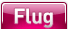 Flug