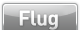 Flug