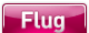 Flug