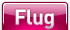 Flug