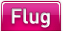 Flug