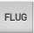 Flug