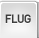 Flug