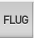 Flug