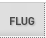 Flug