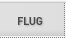 Flug