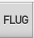Flug