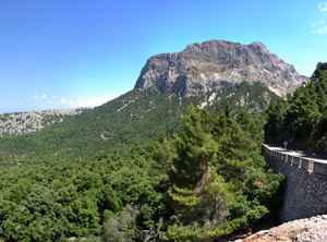 Puig Major