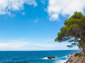 Formentor